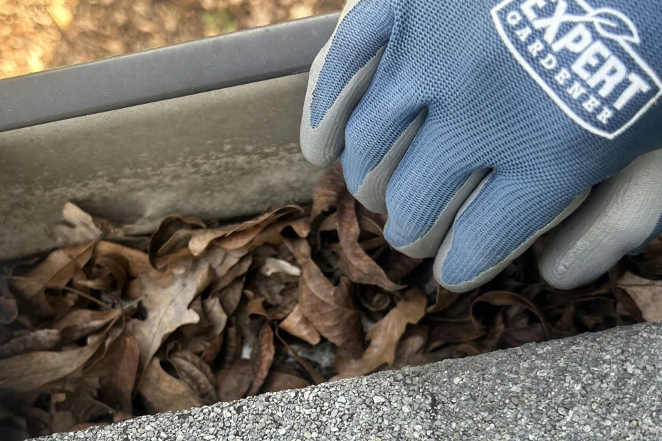 Gutter Cleaning North Raleigh