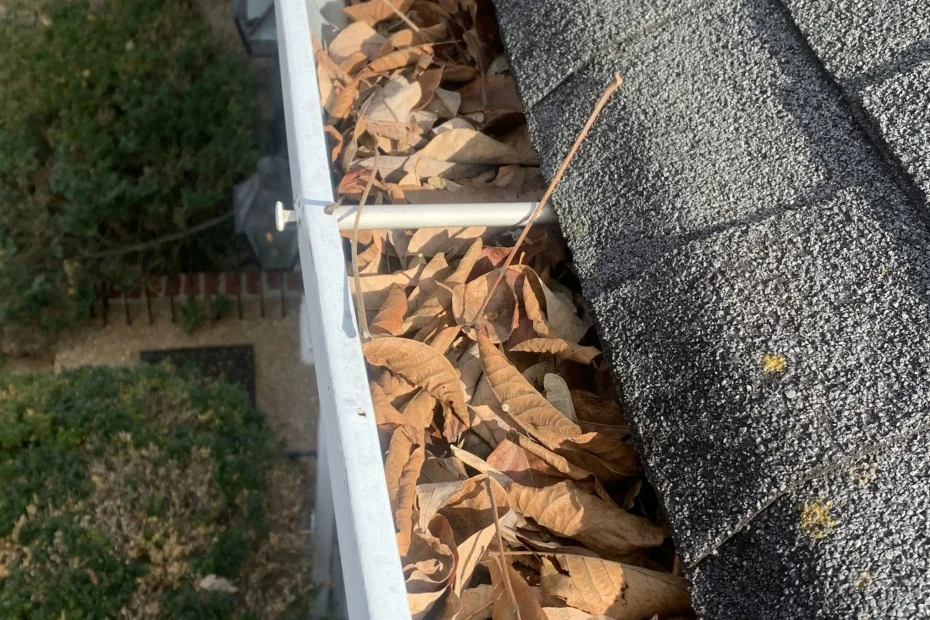 Gutter Cleaning North Raleigh